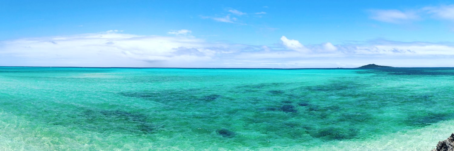 🌺さたぱんびん🌺 banner