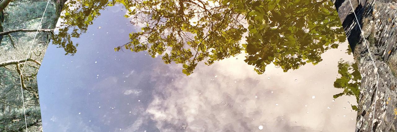 janglemusic's profile banner image