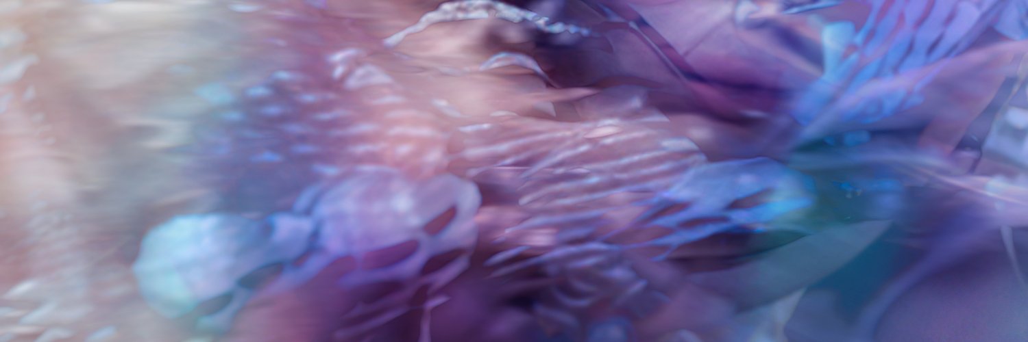 Barbi Ares's banner
