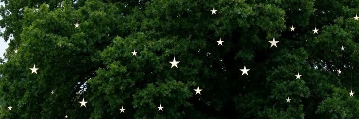 nonuipb's profile banner image