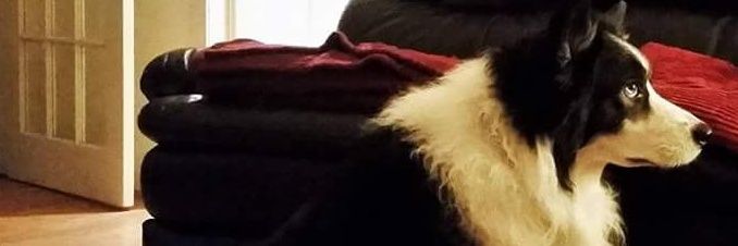 ShipsKat's profile banner image