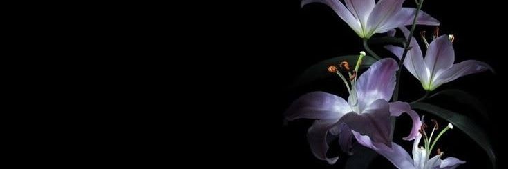 fturebf's profile banner image