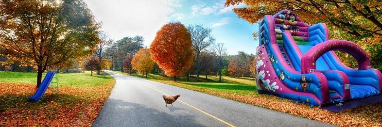 Andy Flemming banner