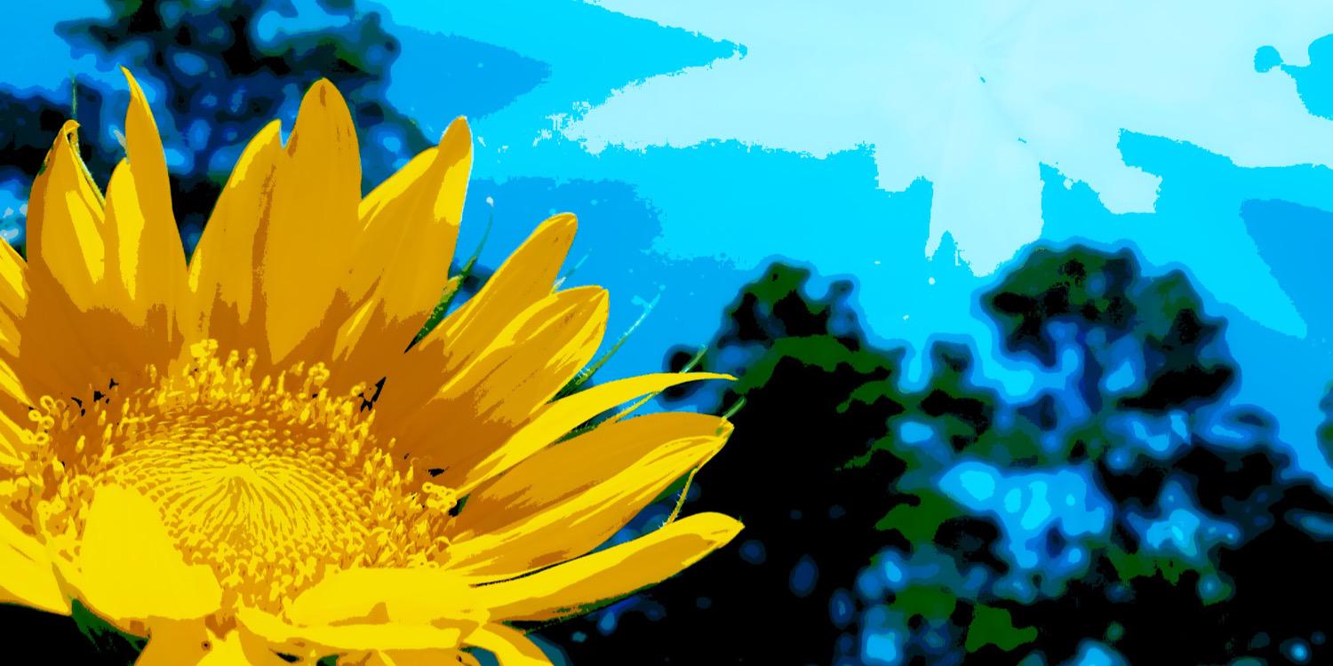 miponders's profile banner image