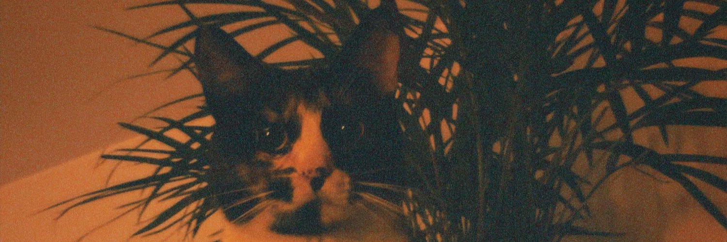 itsjohnas's profile banner image