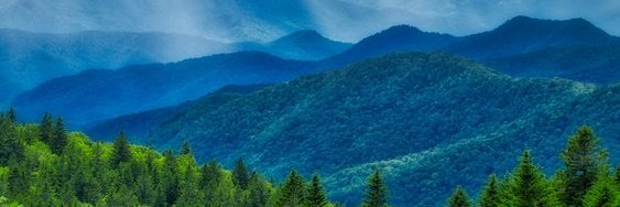 Sparkling Mojo banner
