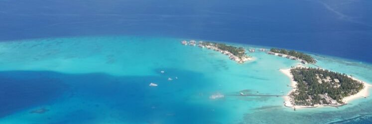 Blaycation's profile banner image