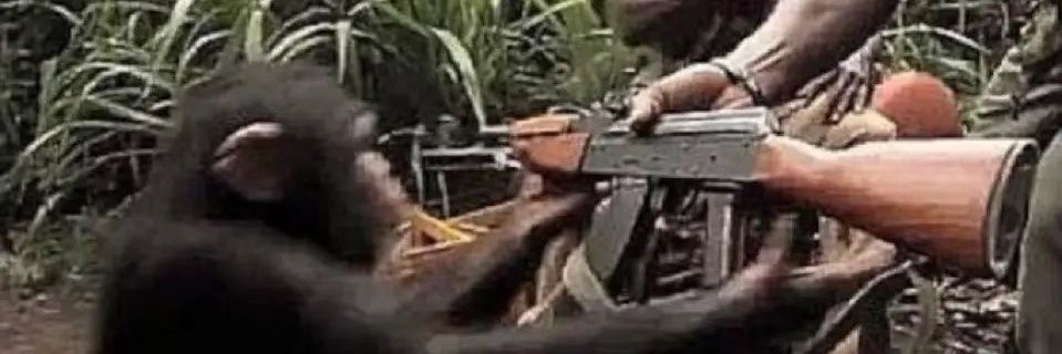 srrow26's profile banner image