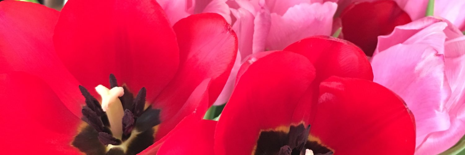 avitamin's profile banner image