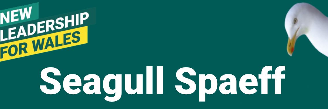 SeagullSpaeff's profile banner image