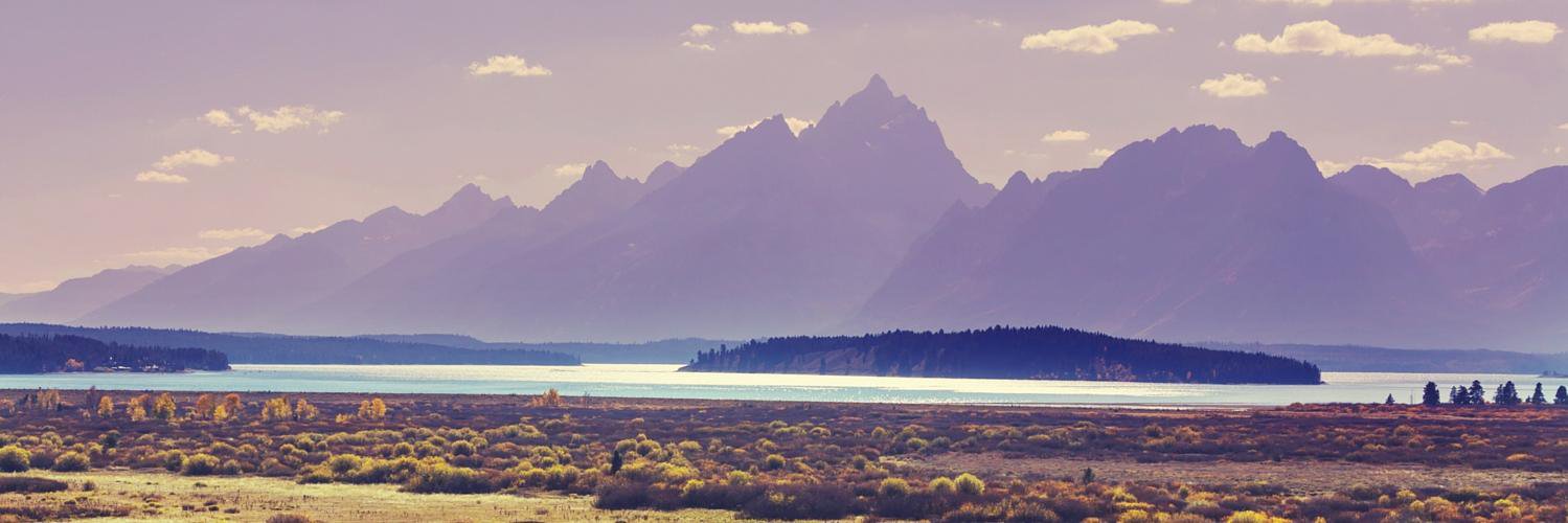 Michelle Webb banner