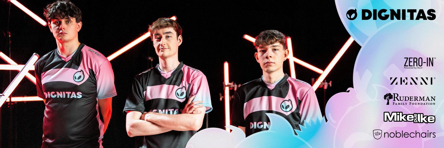 Dignitas's banner