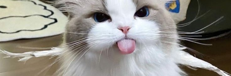 Nanda_Anin99's profile banner image