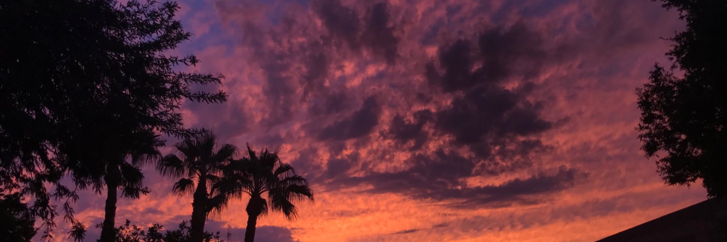 smithtierra_'s profile banner image