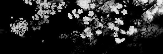 Elianormika's profile banner image