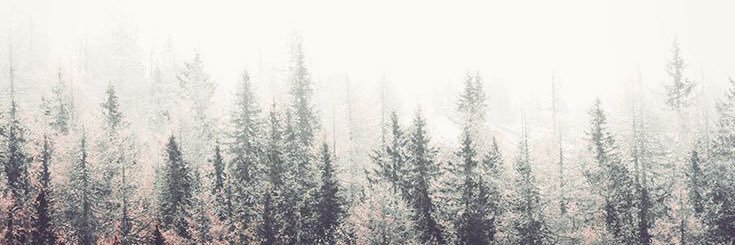thisismikeea's profile banner image