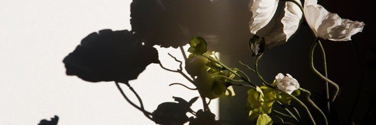 floweurneptunes's profile banner image