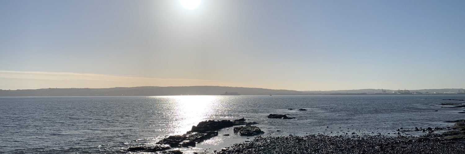 Alan Hamilton banner