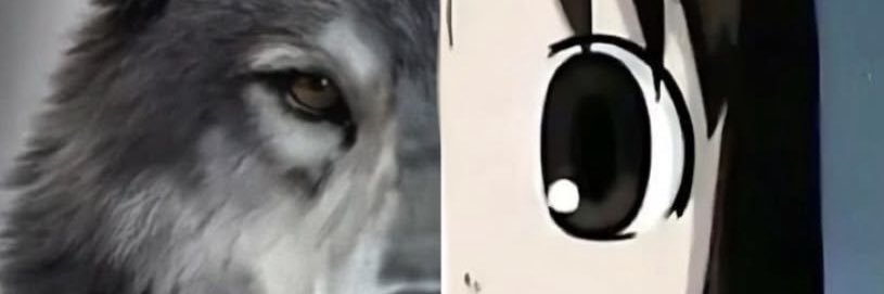 Adinacubed's profile banner image