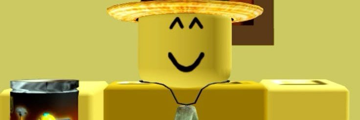 HussValleyer's profile banner image