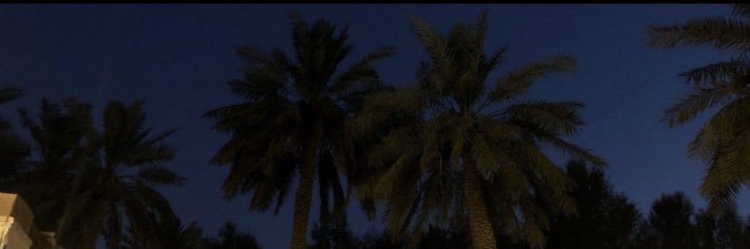 s8loi's profile banner image