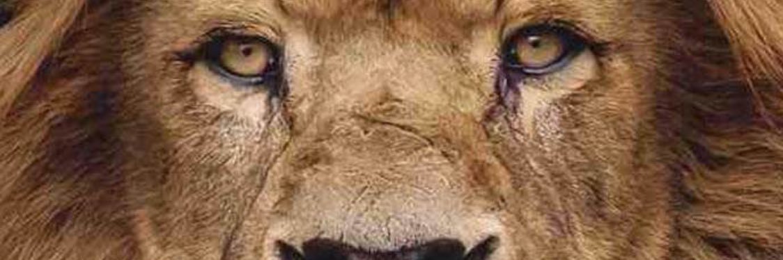 ShawnCMonroe's profile banner image