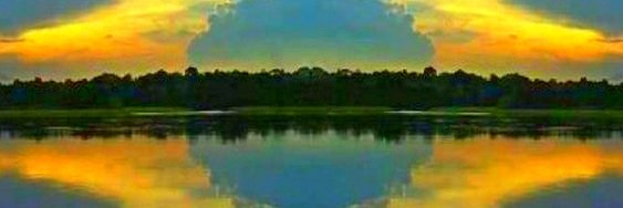 monteacutti's profile banner image