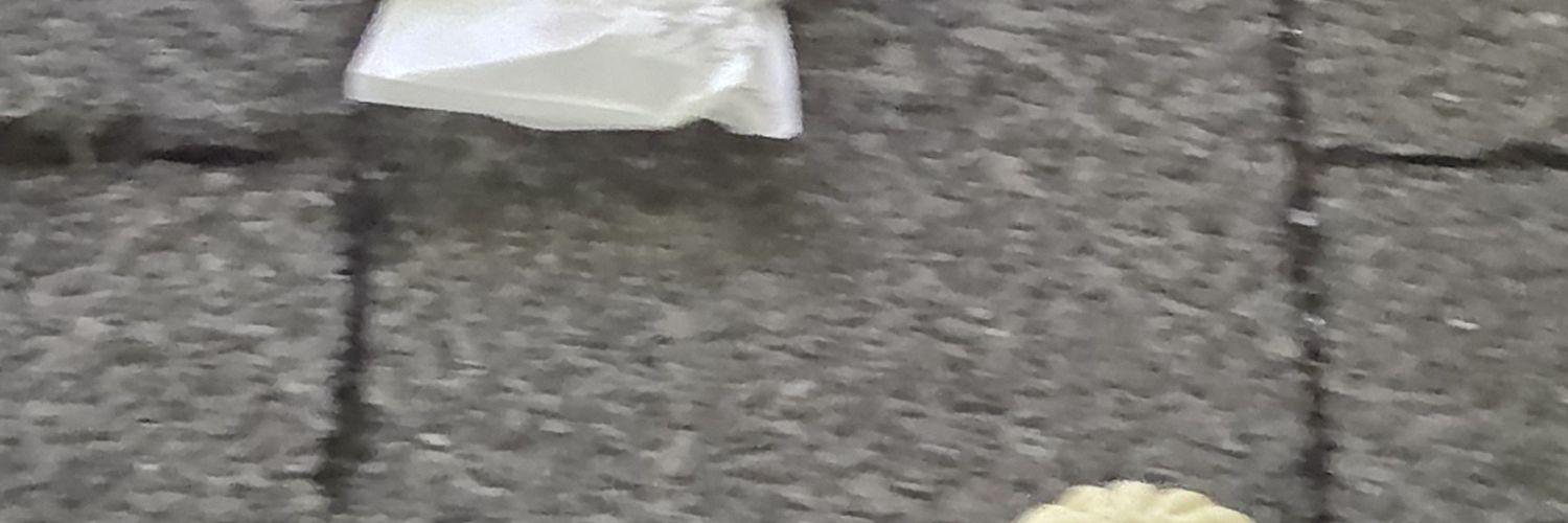 mmgvdw's profile banner image