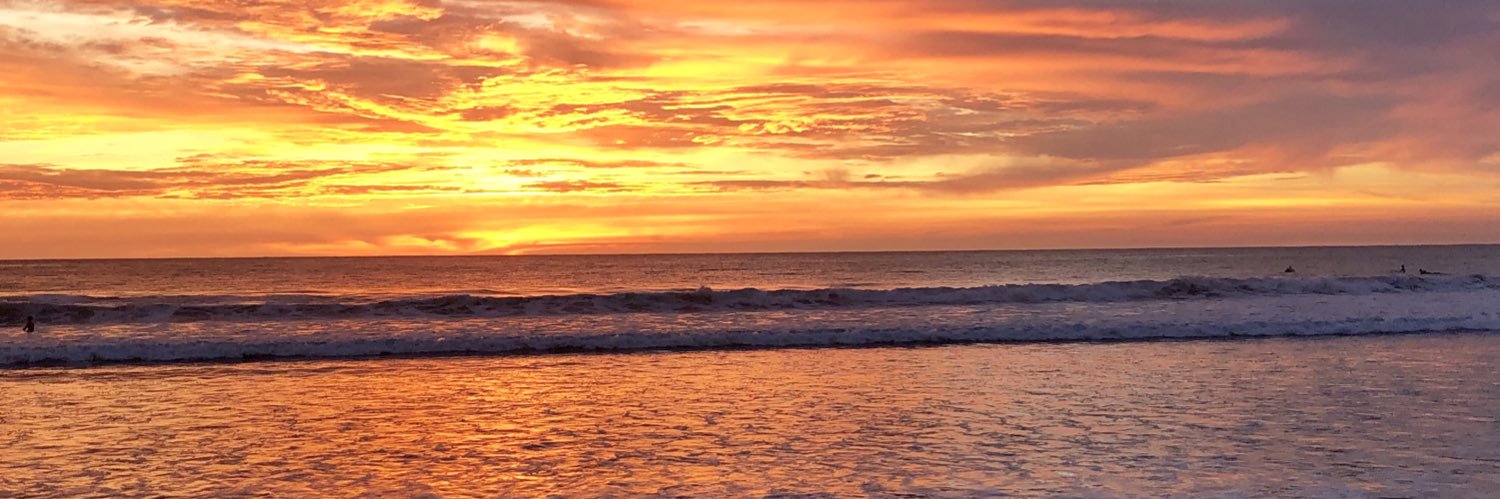 Samantha Surface banner