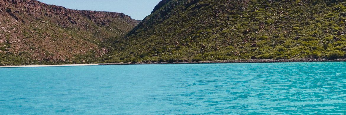 fernandacorrals's profile banner image