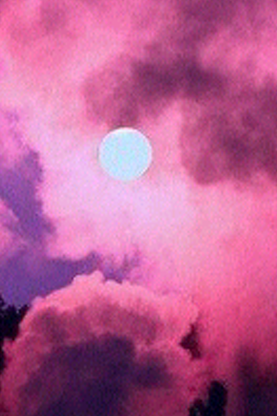 _Lupitta's profile banner image