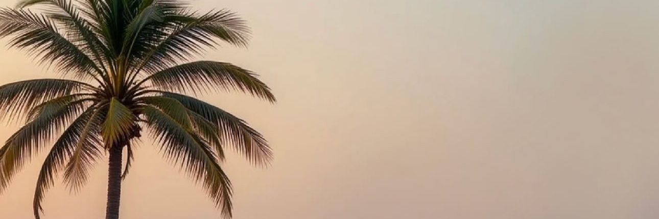 20pvev's profile banner image