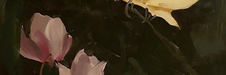 celestialouva's profile banner image