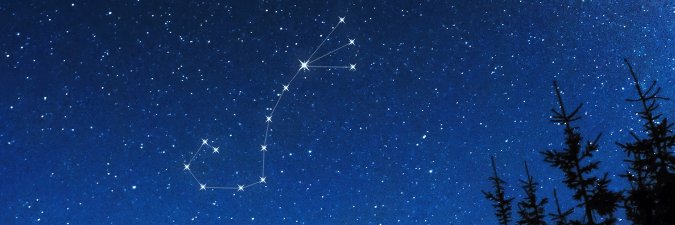 hamhamii's profile banner image