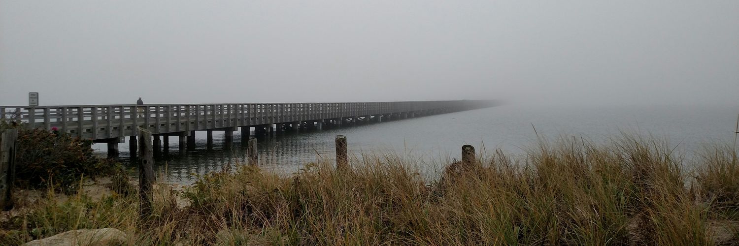 foggy memory banner