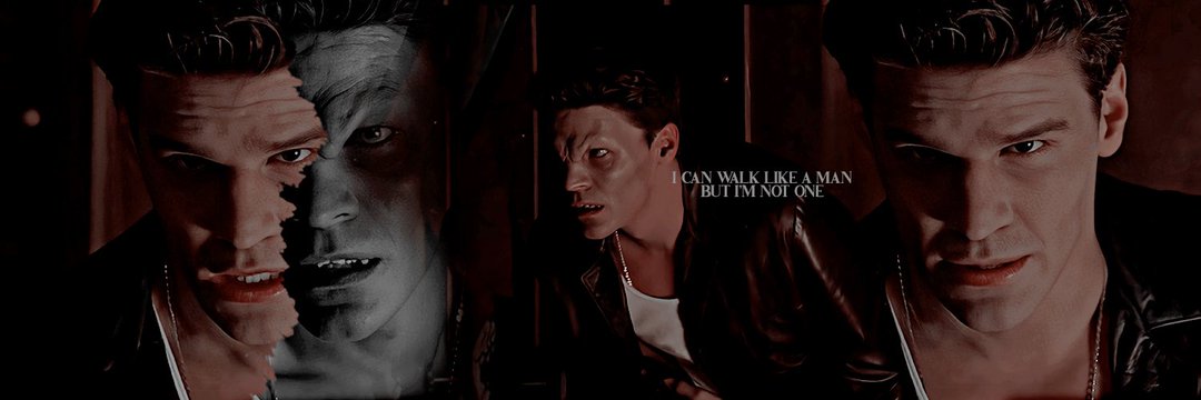 CladdaghVampire's profile banner image