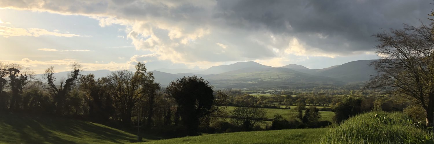 aisling fitzgerald banner