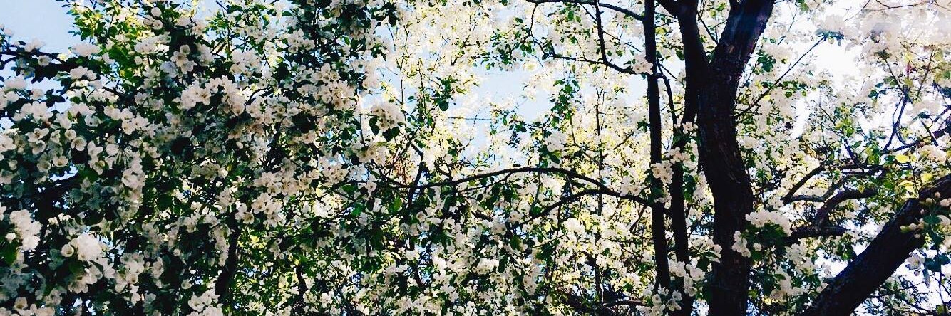 EirinBernie's profile banner image