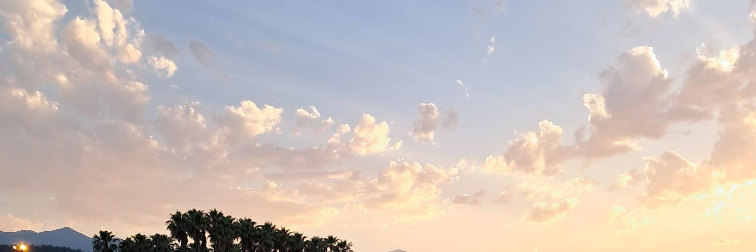Lotlovelaw's profile banner image