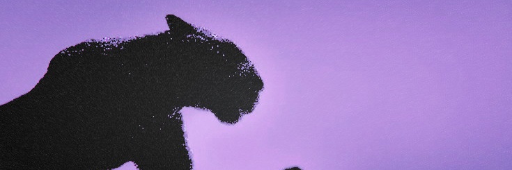 felinesferal's profile banner image
