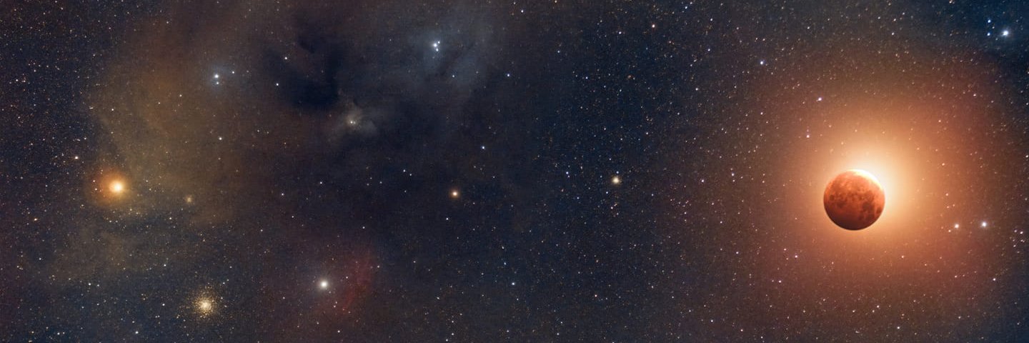 TaraMoonHunter's profile banner image