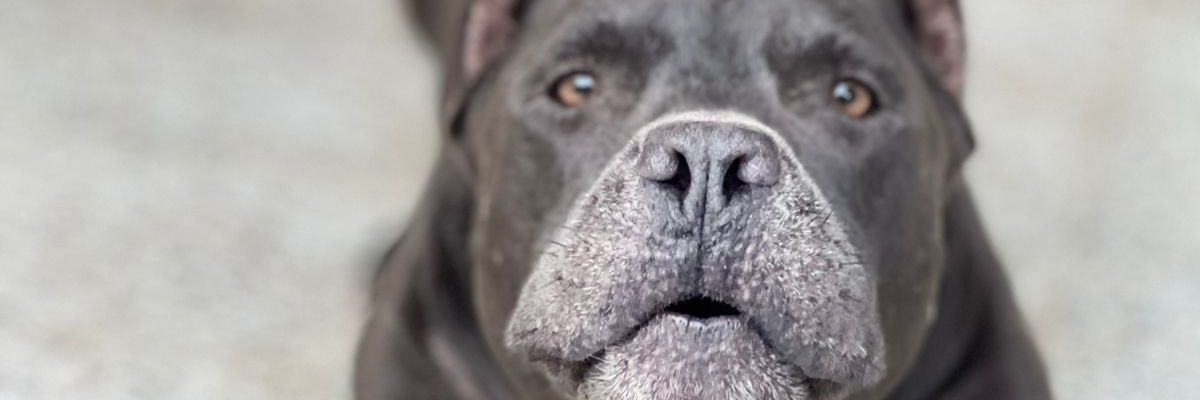 edobueso's profile banner image