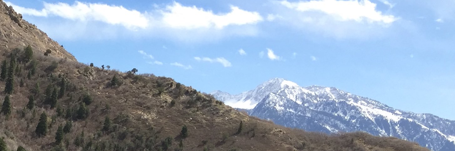 Whitney Buckel banner