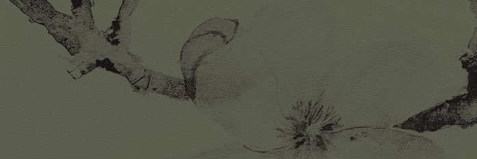 ojostrste's profile banner image