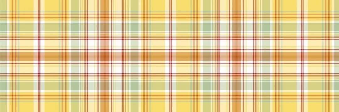 finn wolfhard plaid banner