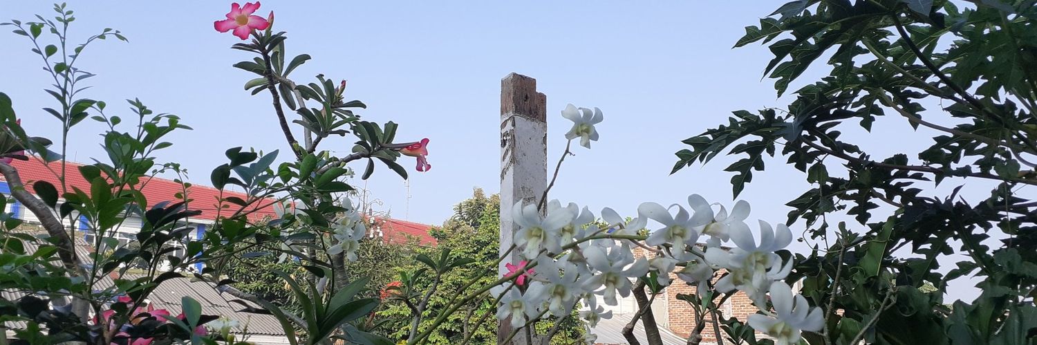 senyumanja's profile banner image