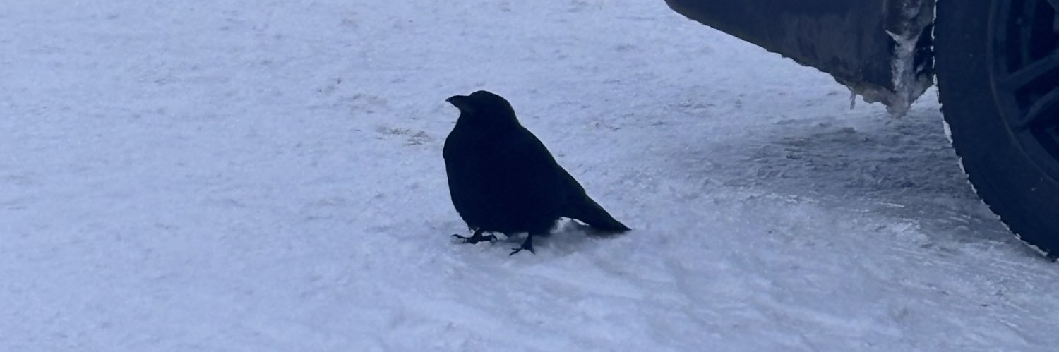 _m6o7's profile banner image