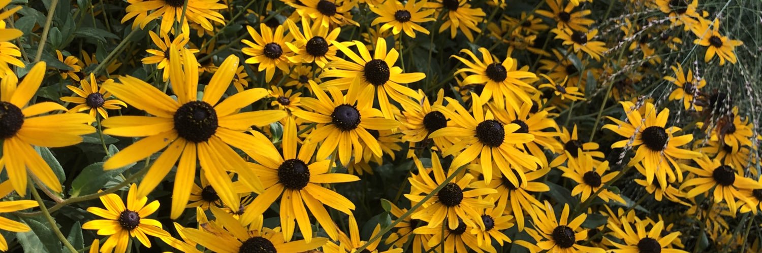katieduffin's profile banner image