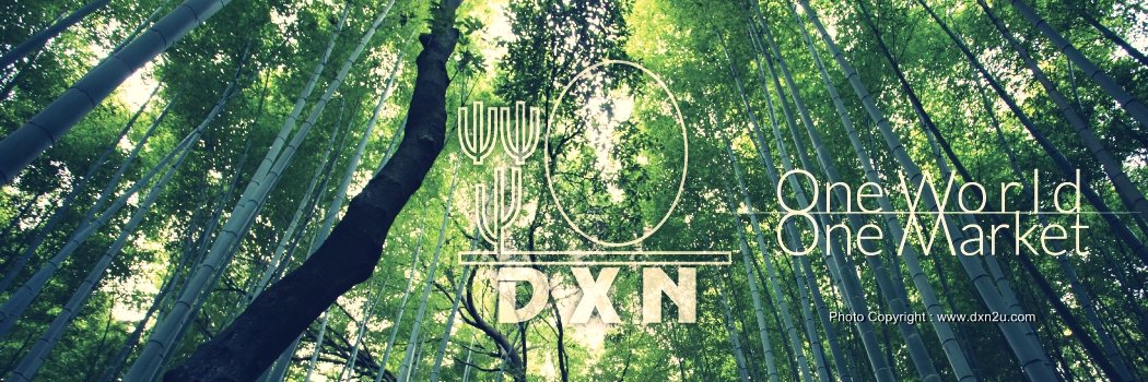 dxnfans's profile banner image