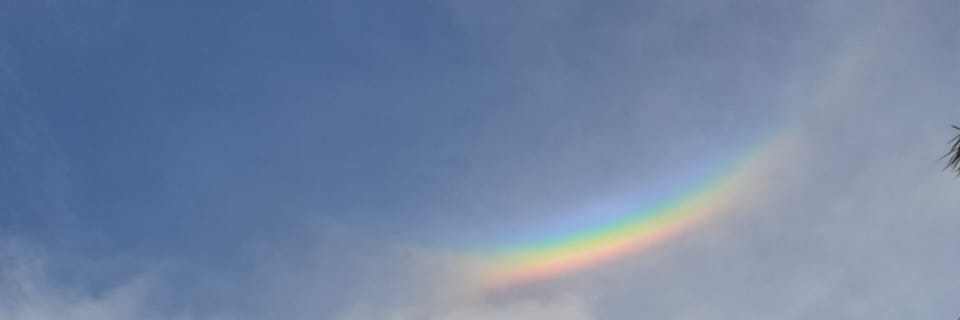 zfbeby's profile banner image